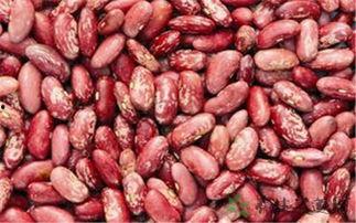 娱乐吃瓜酱云南的花,揭秘娱乐界的“瓜田”盛景